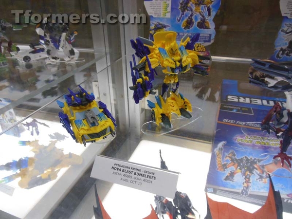 Transformers Sdcc 2013 Preview Night  (8 of 306)
